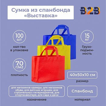 Сумка из спанбонда «Выставка» 40x50х10