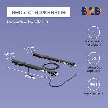 Весы стержневые МАССА-К 4D-B-12/1_А